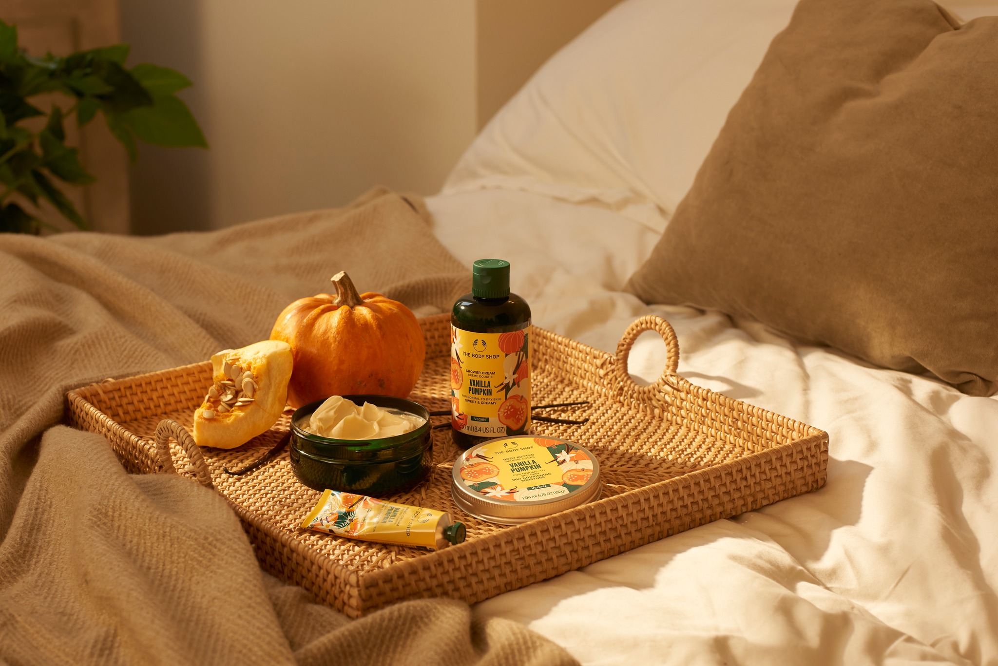 The Body Shop -The Body Shop 484900556 2121292531722884 6214930394014830450 n