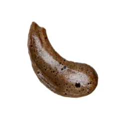 Coco & Eve Express Tanning Antioxidant Mousse - 5.07 Fl Oz - Ulta Beauty