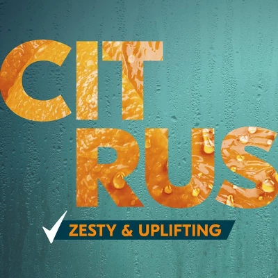 Degree® Degree All Day Fresh Body Wash - Citrus - 20 Fl Oz 7 Degree® Degree All Day Fresh Body Wash - Citrus - 20 Fl Oz - Image 5